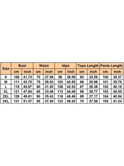 2 Pieces Women's Sets 2026 Spring Autumn Pullover Suit Long Sleeve Tops And Pants Suits Two Piece Set Tracksuit Outfit