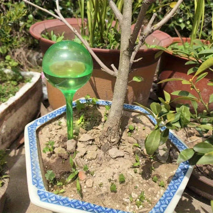 10PCS Clear Plant Watering Globes Automatic Drip Irrigation System Garden Indoor Outdoor Plant Watering Balls Devices Supplies