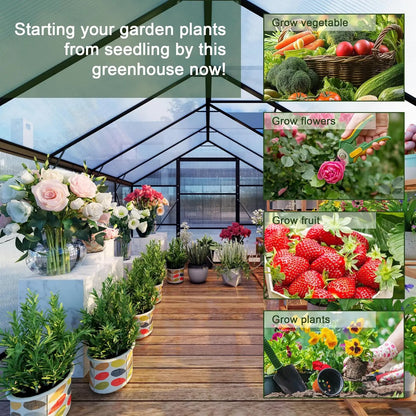 8X10 FT Greenhouses for Outdoors, Aluminum Large Polycarbonate Greenhouse, Quick Setup Walk in Green House with, Customized