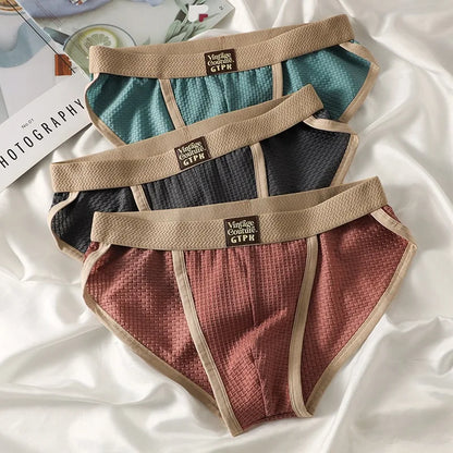 3 pcs Vintage Men High Cut Nylon Briefs Ice Silk Mesh Cool Underpants Soft Breathable Quick Dry Mens Underwear