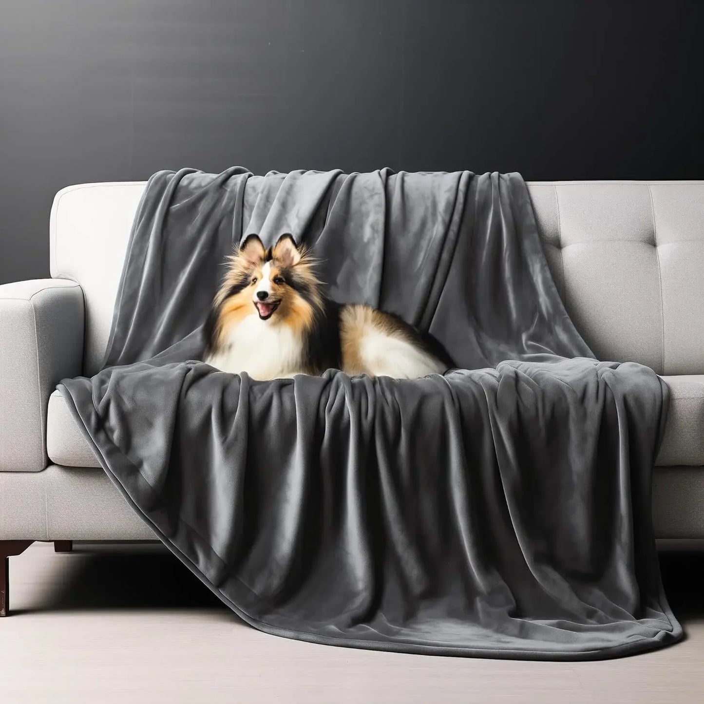 Soft Flannel Pet Blanket Waterproof Splash Resistant Comfortable Blanket for Pet and Couple