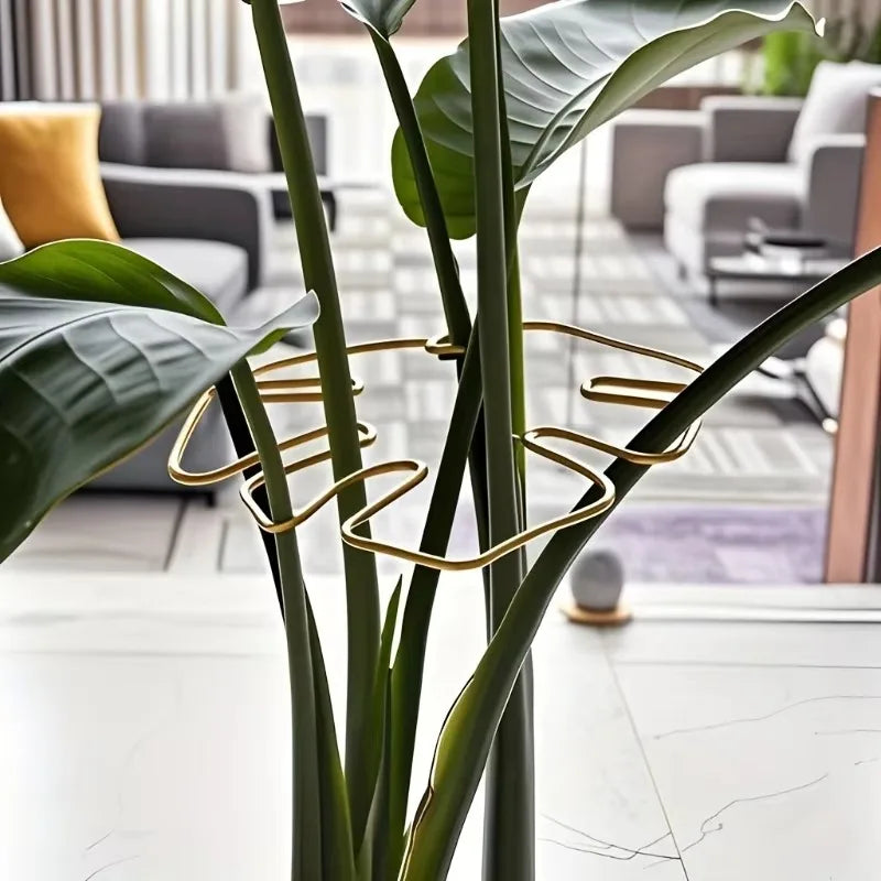1Pc Large Monstera Plant Support Frame Sturdy Climbing Stems Leaf Stabilizer Outdoor Use for Tall Houseplant Hanging Plant Stand