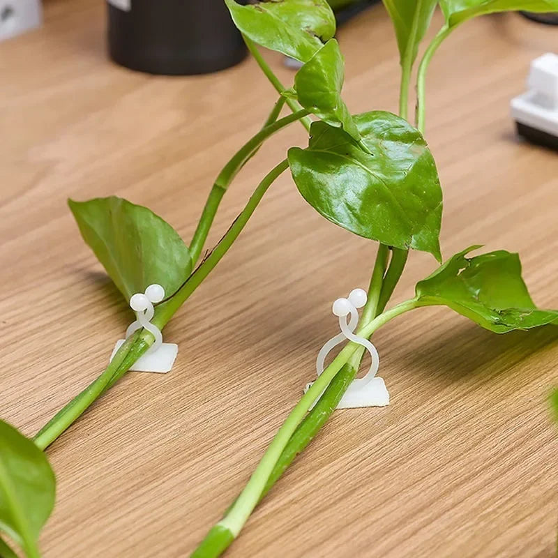 10/30/50pcs Home Garden Plant Climbing Wall Fixture Clips Rattan Vine Fixer Self-Adhesive Plant Climbing Wall Fixed Buckle Hook