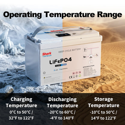 SANDISOLAR 2PCS 12V 200Ah LiFePO4 Battery 2560Wh Deep Cycle Lithium Battery 100A BMS 6000+ Cycles for Solar System RV Marine