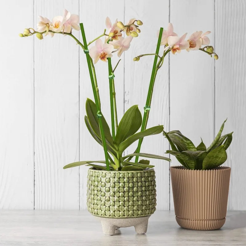 Plant Support Stakes with Orchid Clips Ties Bendable Single Stem Support Rods Holder Sticks for Potted Plants Flowers Vegetables