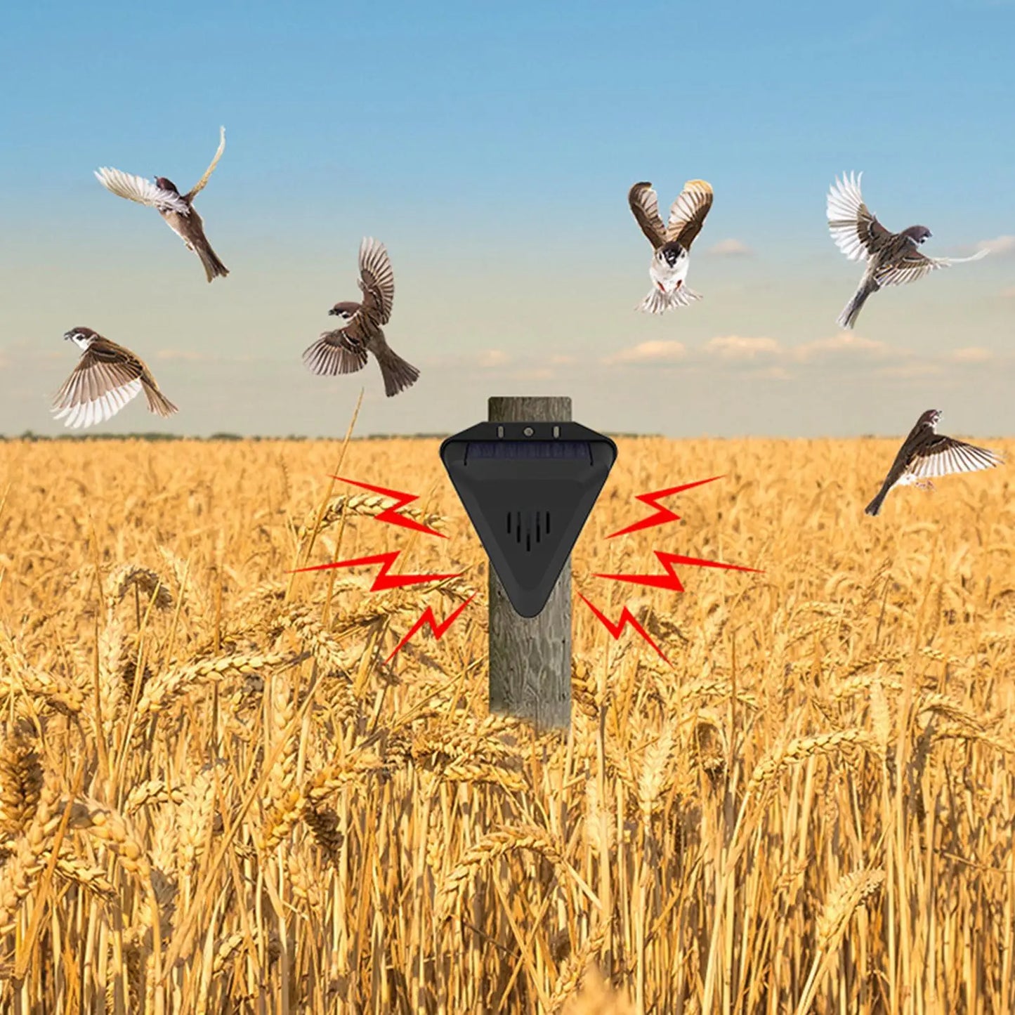 Waterproof Solar bird repeller timed sound and light alarm during the day Protecting crops orchard fish field to repel pigeons