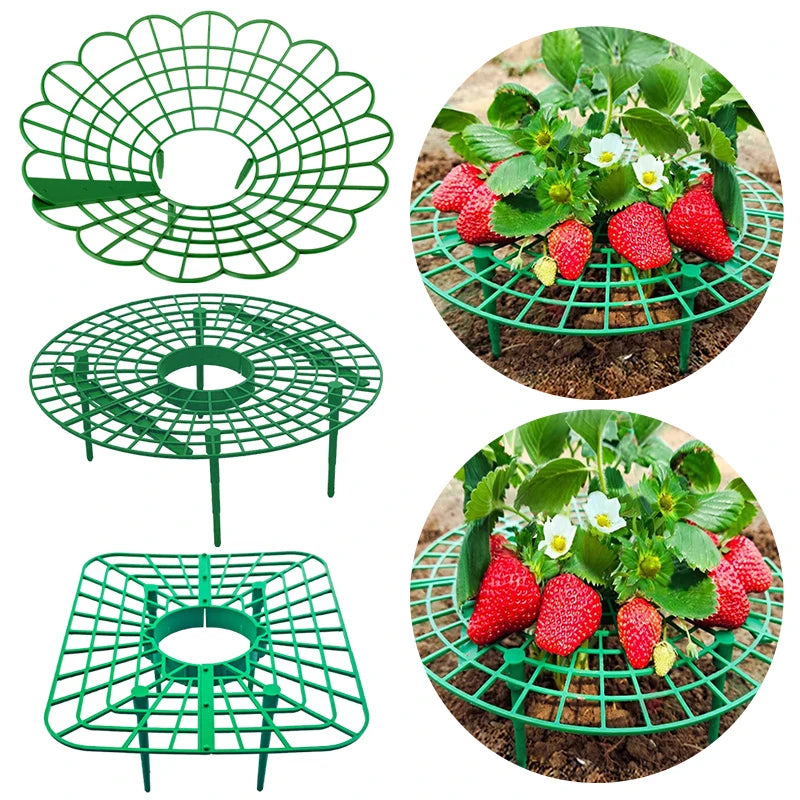 Green Strawberry Planting Stand Plastic Plant Support Cage Garden Anti-rot Strawberry Growing Racks Holder with 3/4Sturdy Legs