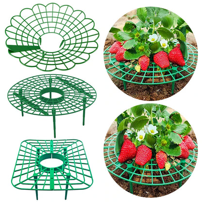 Green Strawberry Planting Stand Plastic Plant Support Cage Garden Anti-rot Strawberry Growing Racks Holder with 3/4Sturdy Legs