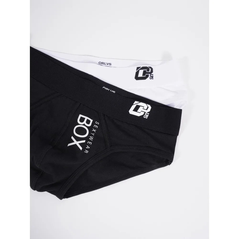 1/2Pcs High Quality Low Waist Sexy Mens Underwear Briefs Letter Print Men's Lingerie Cotton Men's Briefs Bikini Man Underpants
