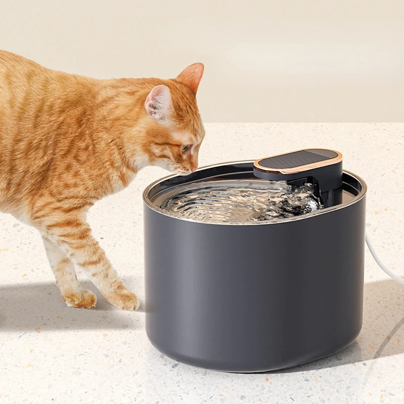 Large Capacity 3L Cat Water Fountain Automatic Recirculate Filtring Pet Fountain USB Electric Mute Cat Drinker Bowl Dispenser