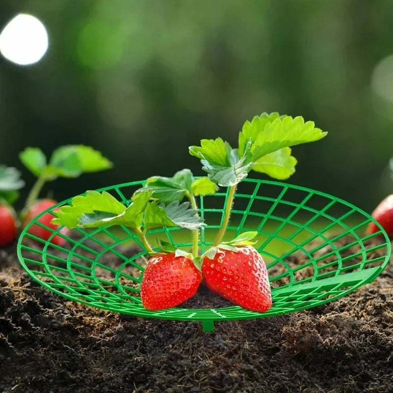 5-50Pcs Strawberry Plant Supports with 3 Sturdy Legs Strawberry Growing Racks Protector Frame Holder Cage From Mold Rot Dirt