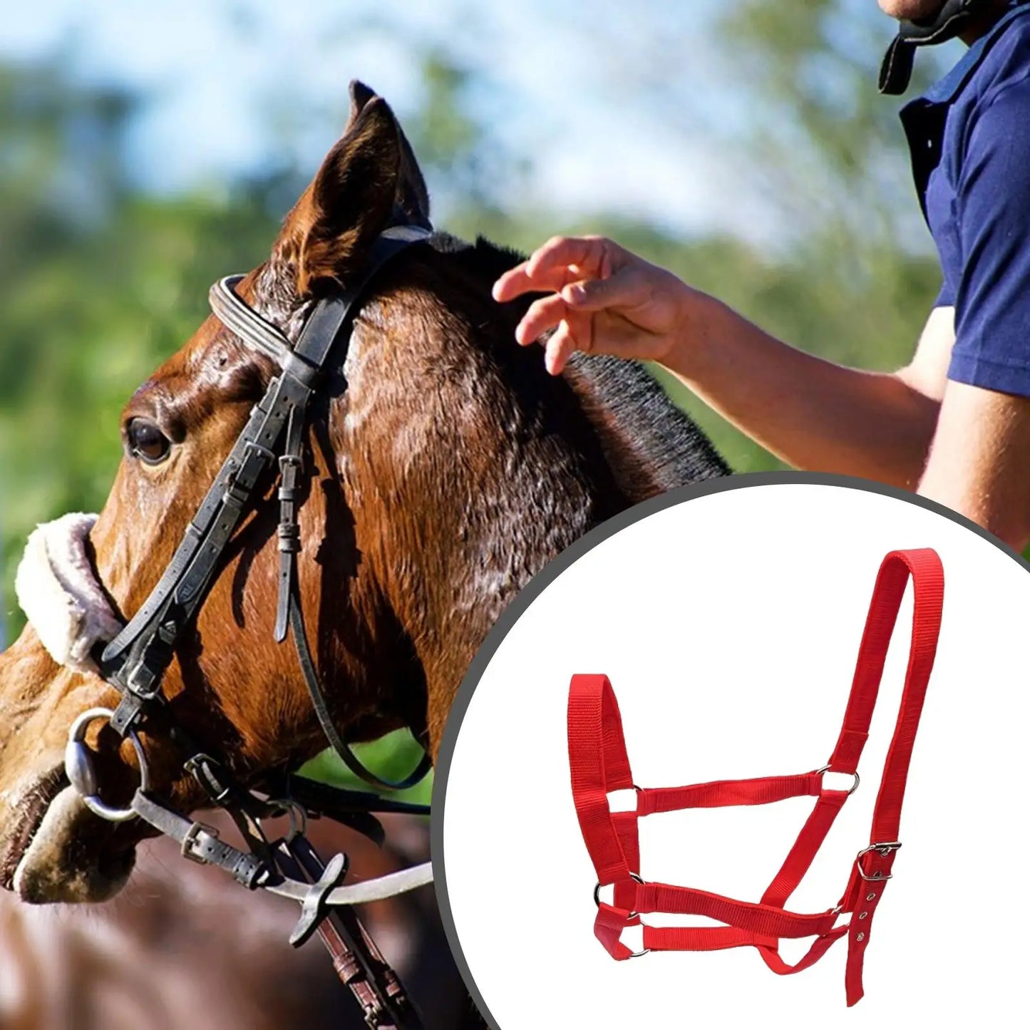 Strong PP Webbing Horse Halter Adjustable Padded Training Rope Harness Tack for Horse Riding and Groundwork