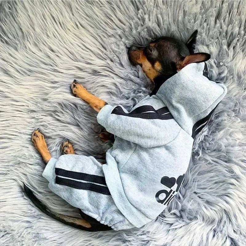 Warm Dog Jumpsuit Hoodie | Sport Sweatshirt Coat for Yorkie & French Bulldog | Small to Medium Pet Jacket