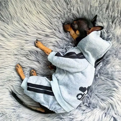 Warm Dog Jumpsuit Hoodie | Sport Sweatshirt Coat for Yorkie & French Bulldog | Small to Medium Pet Jacket
