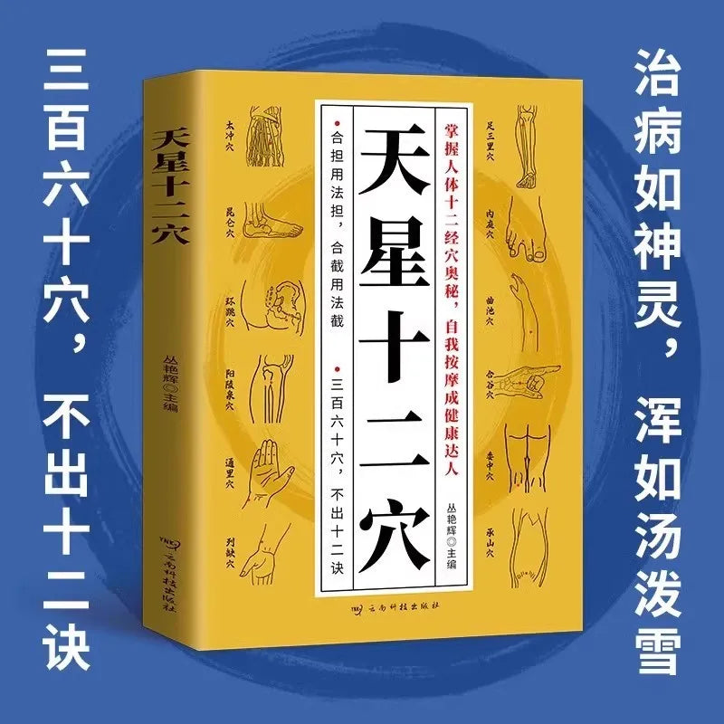Tianxing Twelve Points Meridian Acupoint Map of The Whole Body of The Human Body