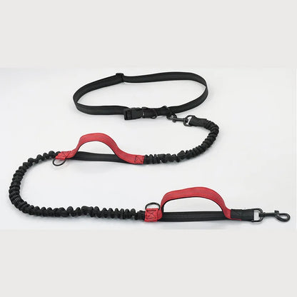 Double elastic reflective running leash portable retractable dog leash dog chain leash pet supplies wholesale