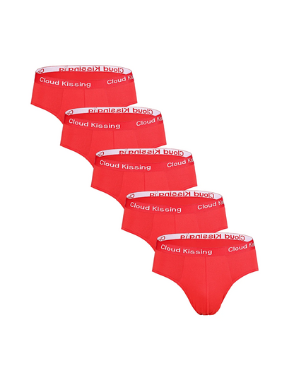 5Pcs Summer Men Briefs Fungi-Proofing Men Panties Male Large Size Panties Breathable Men’s Underwear Comfortable Solid Underpant