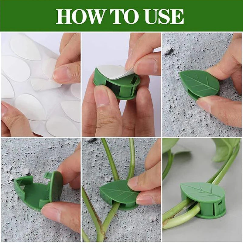 20pcs Plant Climbing Wall Fixture Rattan plants growth climb traceless vine fixing tool Self-Adhesive Green Clip Traction Holder