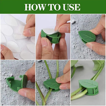 20pcs Plant Climbing Wall Fixture Rattan plants growth climb traceless vine fixing tool Self-Adhesive Green Clip Traction Holder