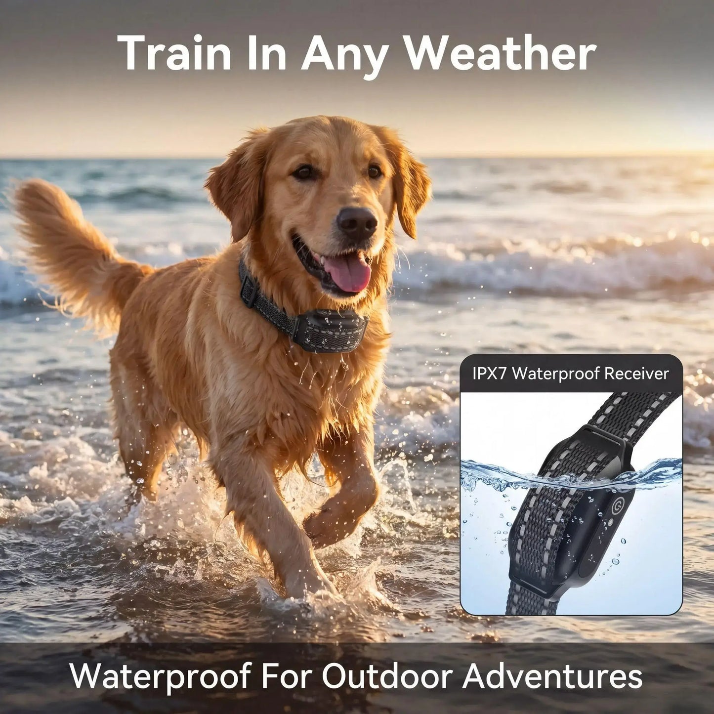 1000M Dog Training Collar Remote Control, Waterproof Rechargeable Dog Bark Collar with Shock Vibration Modes for All Dogs