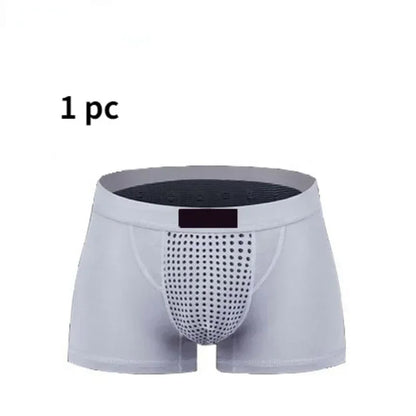 Men's Magnetic Therapy Health Panties 2026 Upgraded Version 22 Magnet Reinforced Boxer Briefs L-6XL Brazilian Cut Underwear