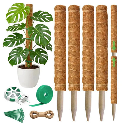 MOPHE-4-Piece Plant Stand Set - Plant Stumps For Indoor Climbing Plants - Coconut Shell Stumps And Rooftop, And Filodendrace
