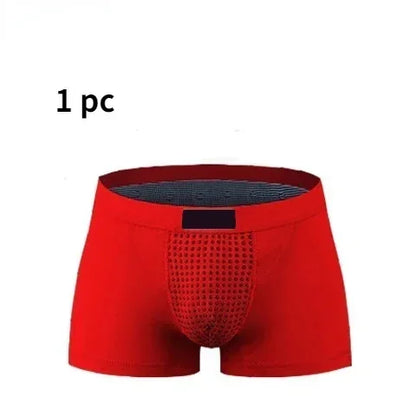 Men's Magnetic Therapy Health Panties 2026 Upgraded Version 22 Magnet Reinforced Boxer Briefs L-6XL Brazilian Cut Underwear