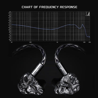 Vzonis Resin 3D Printed 10MM Dual Dynamic Driver HiFi IEM In Ear Earphones High-Resolution Monitoring Fever Music Headphones