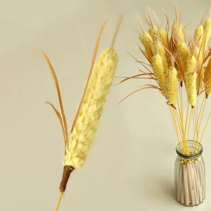 Cat Barley Teaser Wand Kitty Interactive Toy Wheat Ears Kitten Funny Feather Colorful Rod Teaser Wand Pet Cat Supplies Accessory