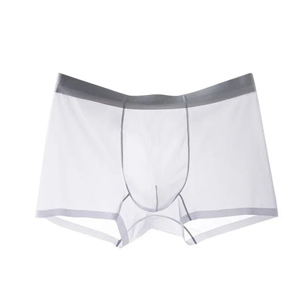 N2025 Ultra Thin Ice Silk Boxers Underwear Men Semi-transparent Seamless Sexy Male Trunk Shorts Plus Size M-XXL