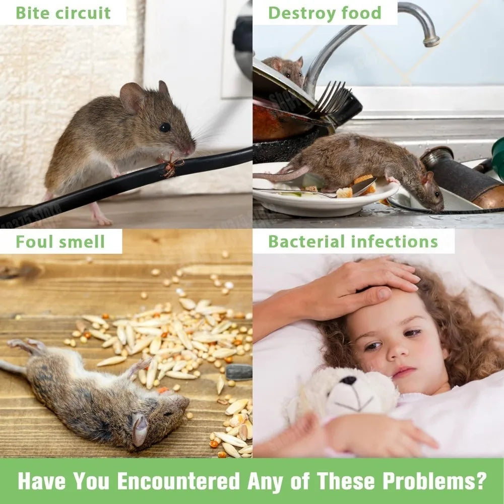 Boules répulentes de souris et de Rat, boule de mothe puissante pour grandes souris, piège à rats, appât répulsif d'insectes