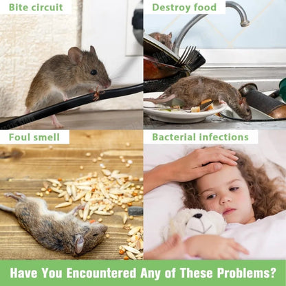 Boules répulentes de souris et de Rat, boule de mothe puissante pour grandes souris, piège à rats, appât répulsif d'insectes