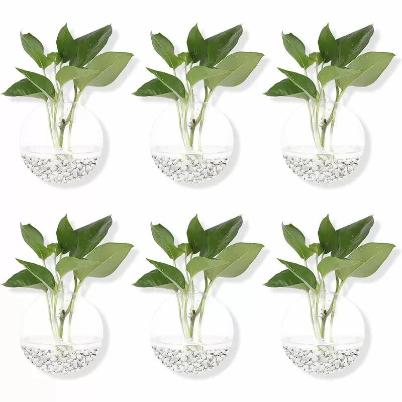 2/4/6/8 Pack Wall Hanging Glass Terrarium - Self-Watering Hydroponic Planter for Home Office Decor, Handmade Round Crystal Vase