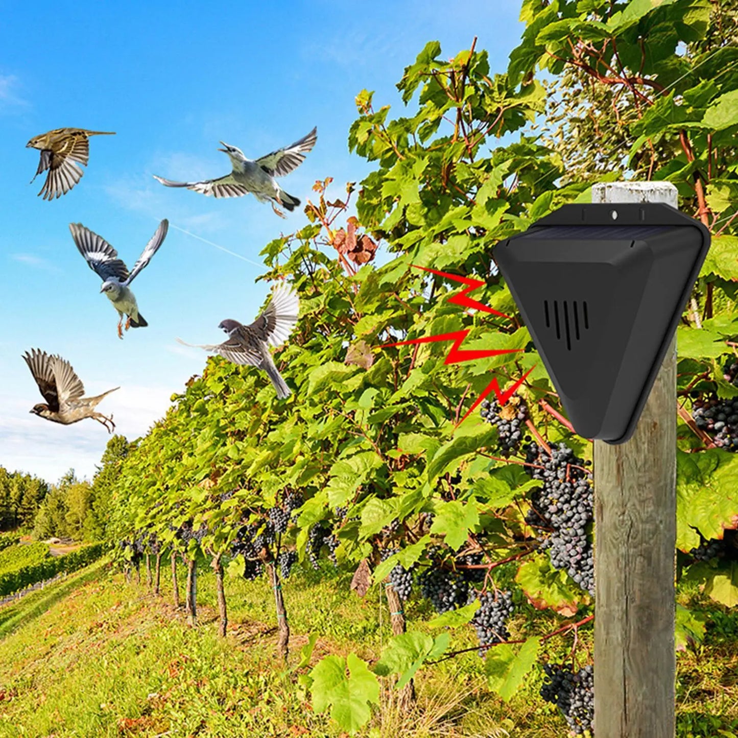 Waterproof Solar bird repeller timed sound and light alarm during the day Protecting crops orchard fish field to repel pigeons