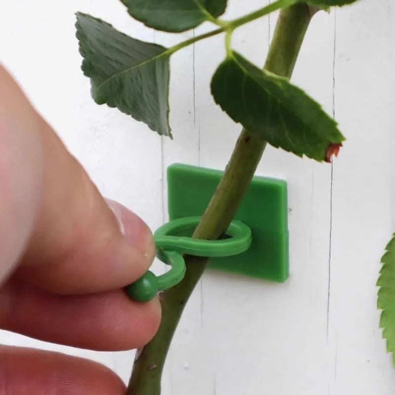 30pcs Invisible Plant Climbing Wall Hooks - Self-Adhesive, Reusable, Adjustable Vines Traction Holders for Indoor Outdoor Garden