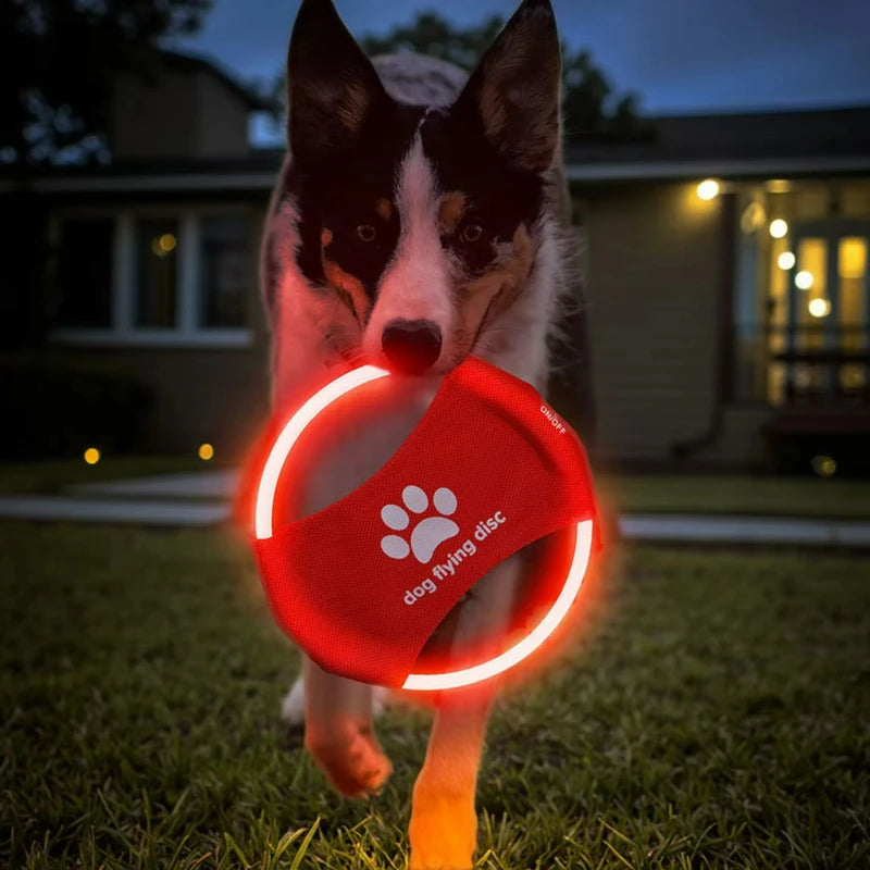 Hot-selling eco-friendly interactive LED Frisbee dog training toy rechargeable sports pet sports toy
