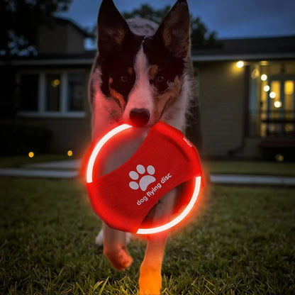 Hot-selling eco-friendly interactive LED Frisbee dog training toy rechargeable sports pet sports toy