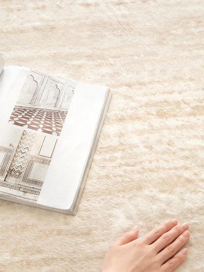 VIKAMA Modern Light Luxury Washed Carpet Living Room Bedroom Floor Mat Home Decoration Can Be Wiped Folding Cloakroom Carpet