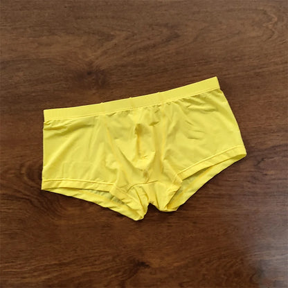 Man Underwear Men's Ice Silk Boxer Shorts Cool Underpants Summer Sexy Thin Panties U Pouch Lingerie Wholesale Price M-XXL