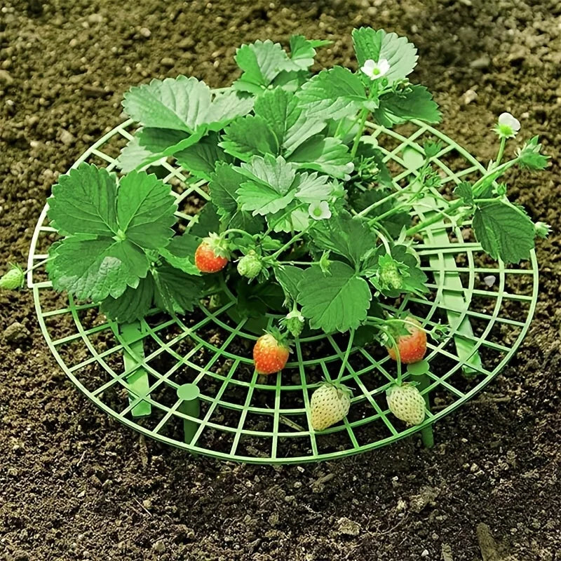 5/10pcs Green Strawberry Planting Rack with 3 Sturdy Stands Versatile Plant for Berries and Small Plants Plant Stand