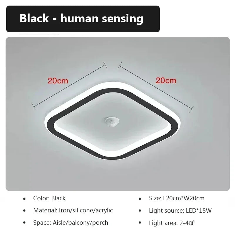 Energy Saving Smart Ceiling Light Human Body Sensor Auto on Off 85-265V for Corridor Hallway Entrance Balcony Lighting Fixture