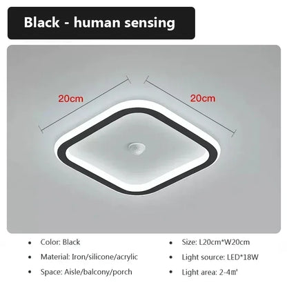 Energy Saving Smart Ceiling Light Human Body Sensor Auto on Off 85-265V for Corridor Hallway Entrance Balcony Lighting Fixture