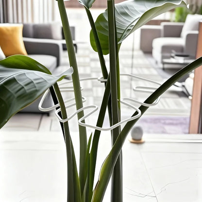 1Pc Large Monstera Plant Support Frame Sturdy Climbing Stems Leaf Stabilizer Outdoor Use for Tall Houseplant Hanging Plant Stand