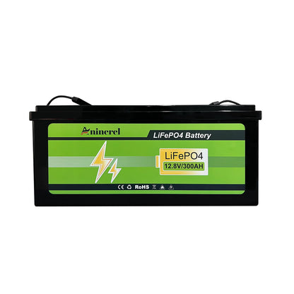 Aninerel 3840Wh 12V 300AH 24V 100Ah 2560Wh Lithium LiFePO4 Battery with 100A BMS Perfect for RV Golf Cart Solar Power System Trolling Motor