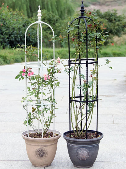Plant Climbing Supporter Climbing Plant Support  Frame Outdoor Flower  Vines Pot Stand Garden Climbing Frame Indoor Floral Decor