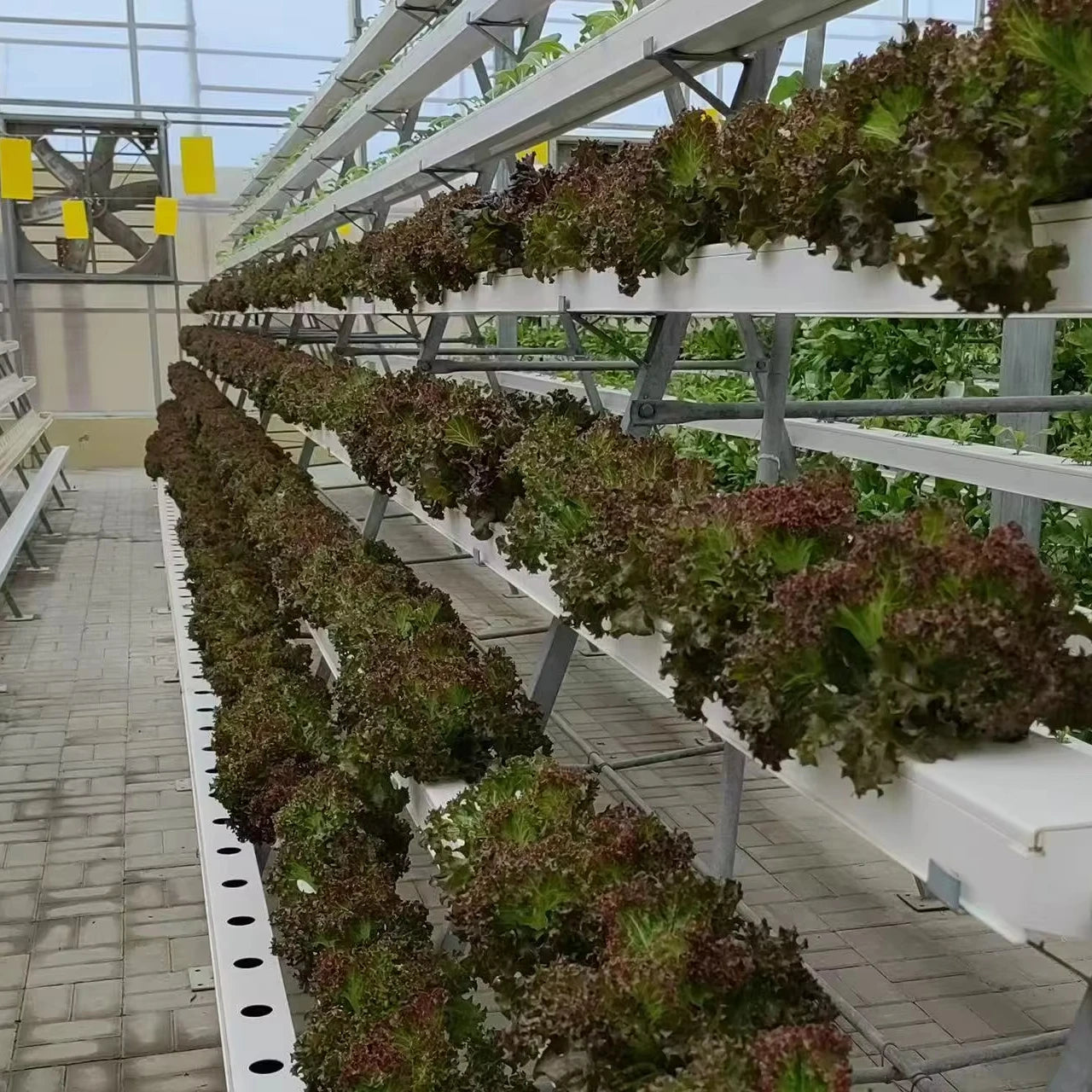OEM Nft Hydroponics Nft Channel Growing System Kits Vertical Lettuce Strawberry Agricultural NFT Growing System Plant Vegetable