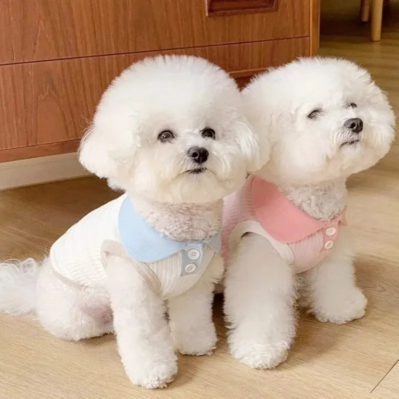 Small Dog Shirt | Spring & Summer Pet Apparel | Casual Wear for Small Dogs