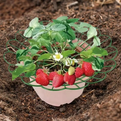 1/3Pcs Round Strawberry Stand Anti-corrosion Anti-ground Strawberry Cradle Support with Three Sturdy Legs Trellis Planter Insert