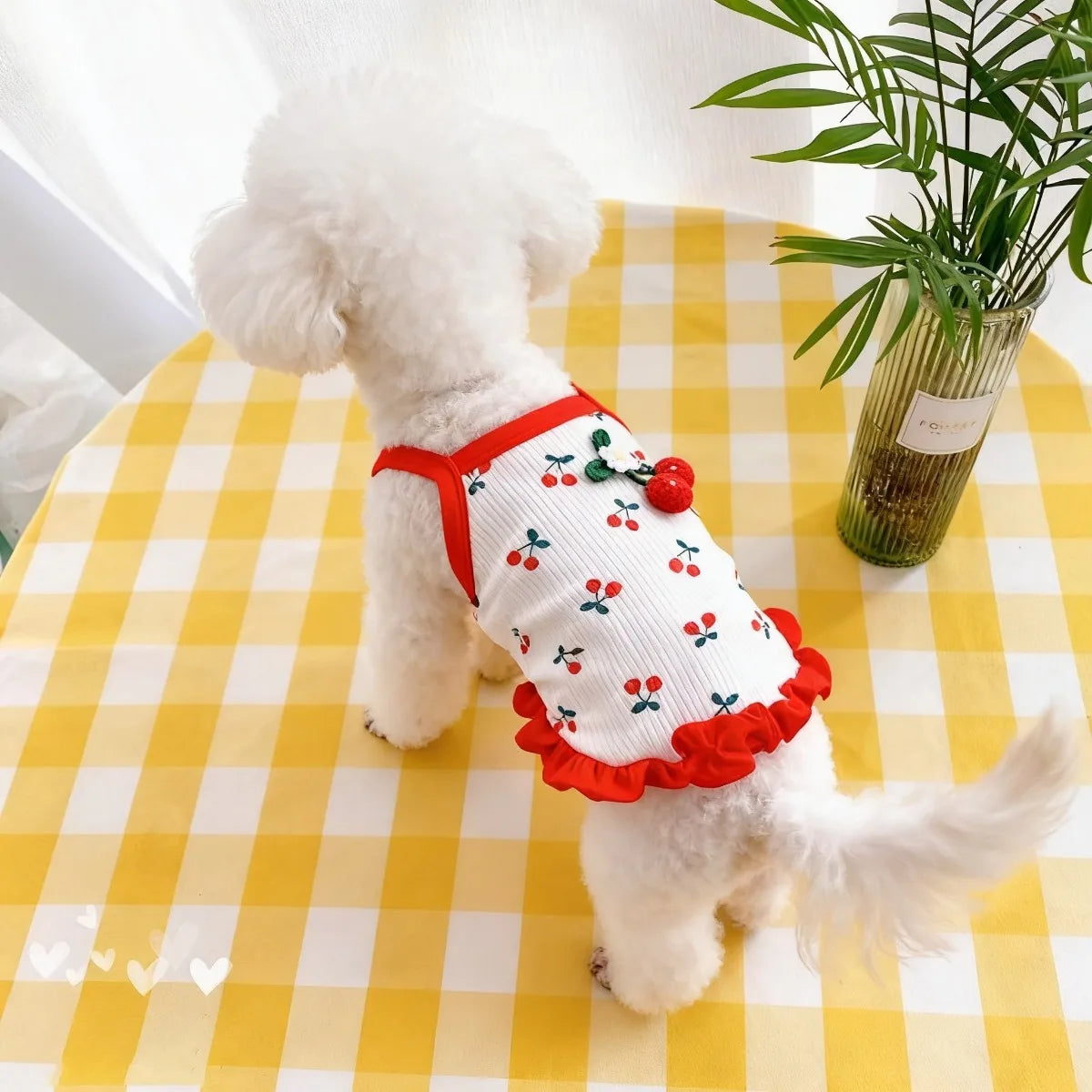Dog Vest Cute Cherry Clothing for Small Dog Vest Summer Cooling Cat Vest Falbala Pet Clothes for Dog Breathable Soft Cat Clothes