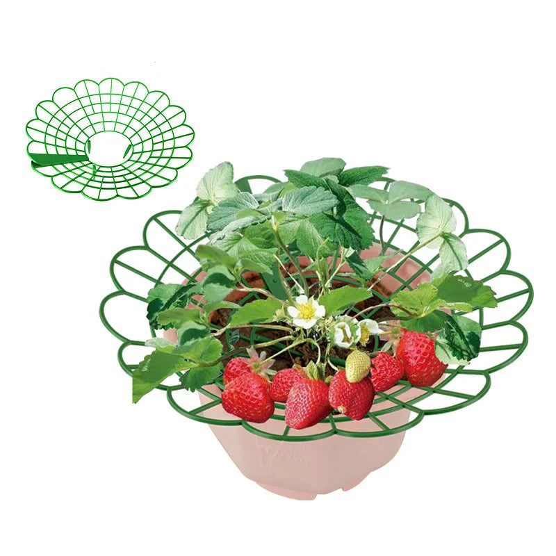 Green Strawberry Planting Stand Plastic Plant Support Cage Garden Anti-rot Strawberry Growing Racks Holder with 3/4Sturdy Legs